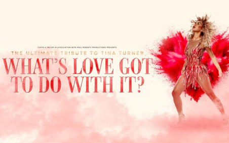 What's Love Got To Do With It